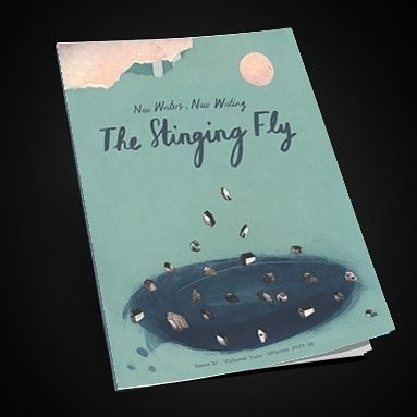 I have a story in the Stinging Fly magazine Winter edition 2017. I've been sending stories to them for 6 years so I am ultra excited to be in there!
This issue is themed on Housing and Homelessness and is available to buy for €12.95 in Ireland and €15.95 for rest of the world.
My story is called Pokey - out wire and I can reveal the story does contain a pokey-out wire.