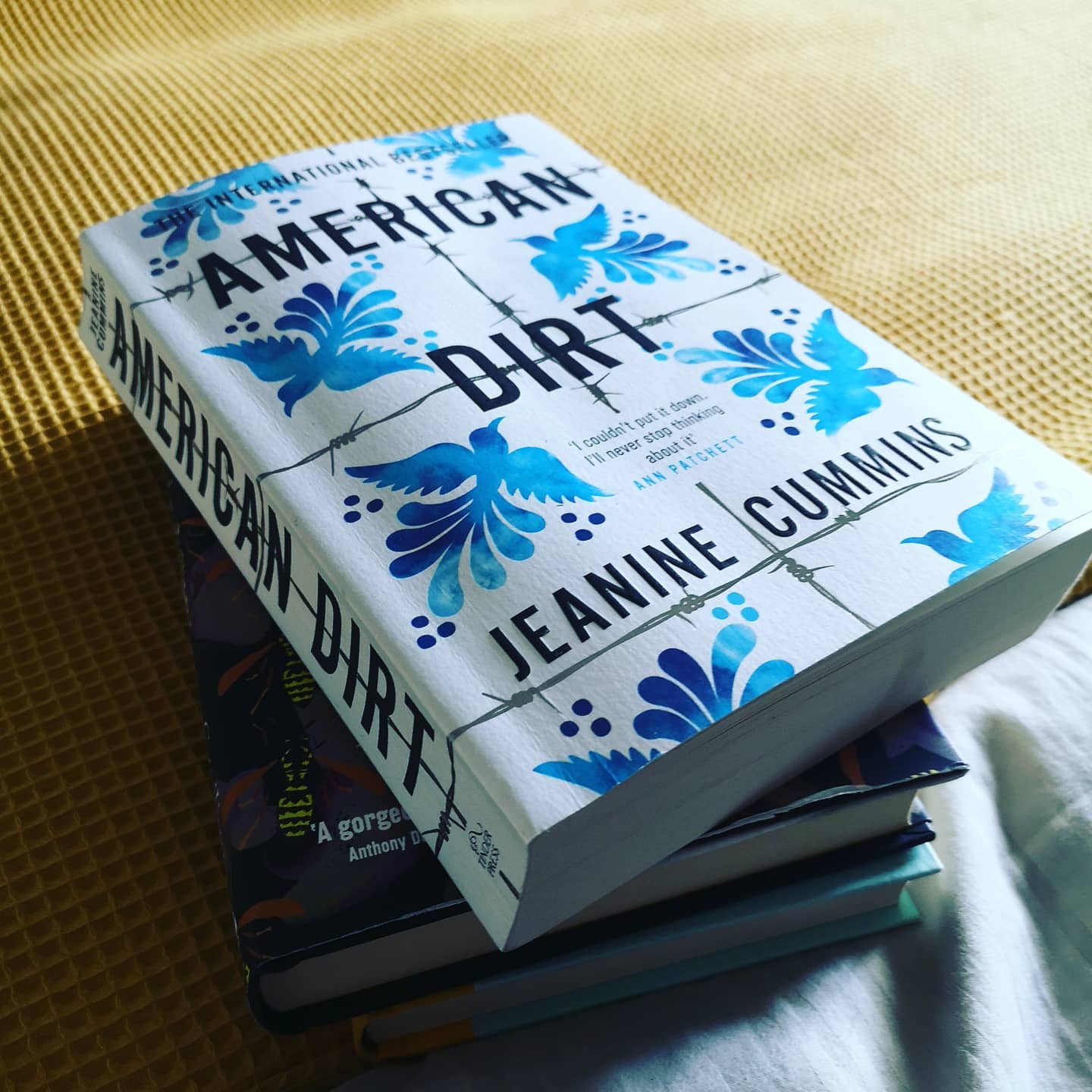 American Dirt.
This is a good book. She writes well. If it's a drama, plot based book you want, you might like this. I'm not sure if it really got to the surface of migration though.