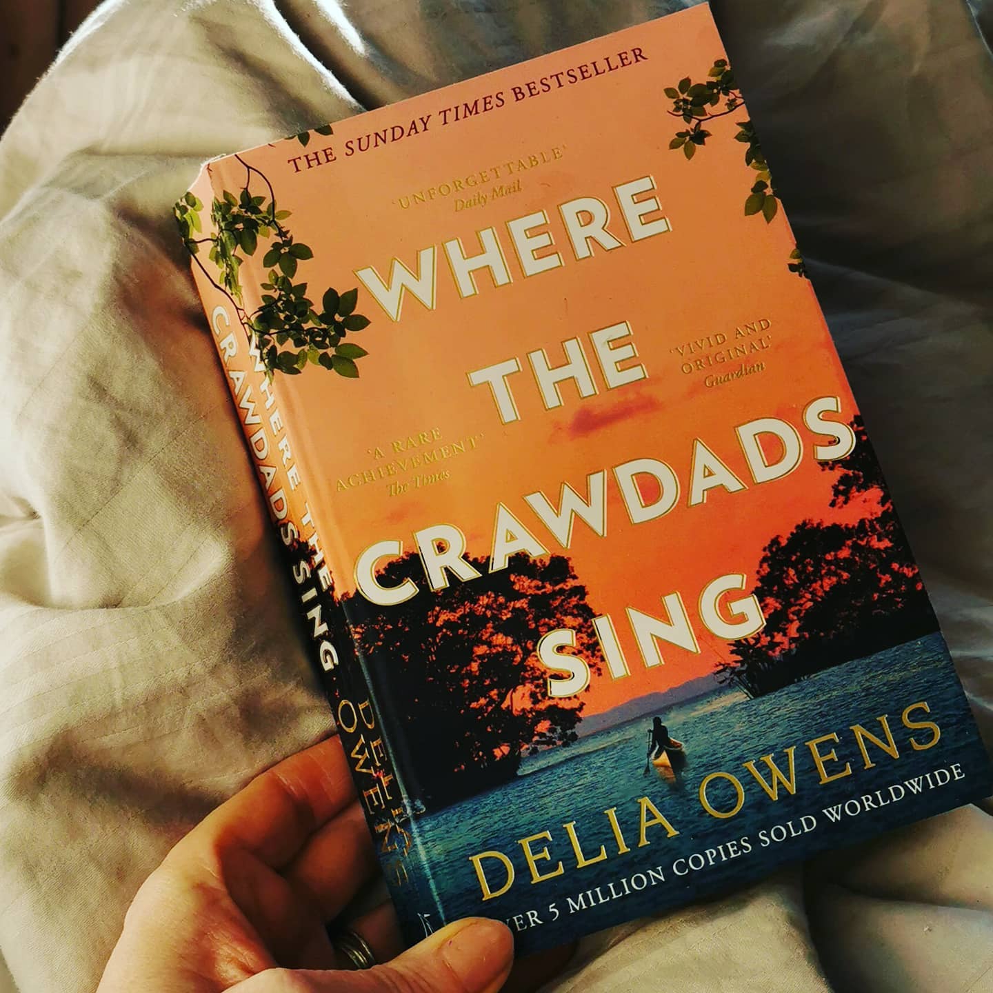 Where the crawdads sing by Delia Owems.
I just finished reading this. I sometimes find bestsellers hard to read as other people's opinions and thoughts weight heavily on my own. It's not that I allow other reader's thoughts intrude on mine, it's just that I don't want to offend a fellow reader's book taste.
This is a taste thing. I feel grumpy after reading this book. I appreciate the author's writing of the landscape and nature. I appreciate the different idea of a girl living in a marsh in seclusion. I appreciate how the girl's isolation is depicted. All these elements work well.
What didn't work for me as a reader was the mish mash of genres. Is this book a Mills and boons as it certainly verges into that that at times. Is it a crime thriller? Kinda but the court scenes where the main character is set before a jury are so weak, boring and the dialogue needs reworking. Is it a film script? Oh yes, it is and that's the main problem for me. I know that when we write that images are conjured up can be film like but this story or novel really feels like it was written or rewritten with a silver screen on mind. Especially the ending which I was not one bit surprised by.
Apparently Daisy Edgar Jones is being mentioned to play Kya, the main character. Let's hope Daisy can make Kya somewhat appealing or fun to be with. I couldn't understand why anyone would want to spend time with Kya as she was portrayed as being joyless.
Gosh this is harsh and now it's awkward but I have to ask what did you think of the best selling novel/film that is the Crawdads?