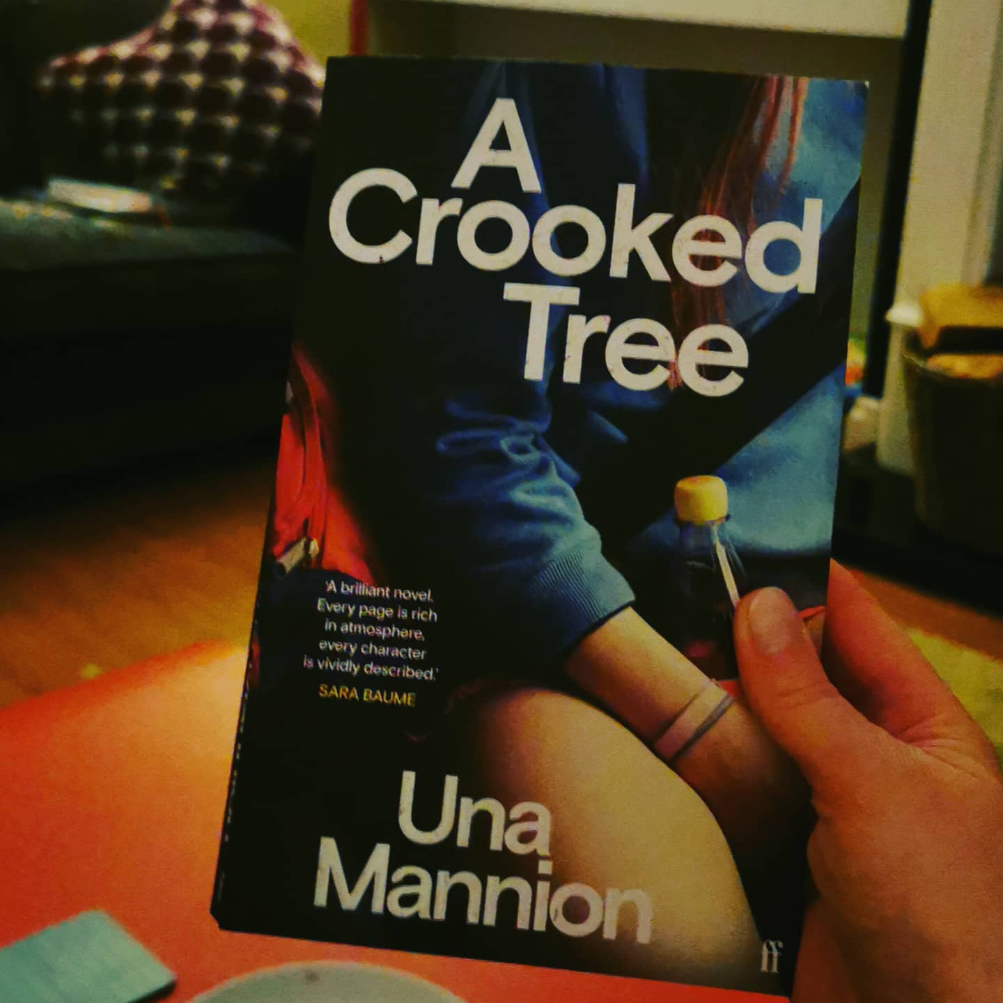 A Crooked Tree by Una Mannion.

I have always admired Una's short fiction so I was excited to get my hands on her debut novel.
It doesn't disappoint though it's a slow, slow start and it remains slow but by the time you get to end, you will enjoy that relaxed pace as it suits the story and the characters.

Libby is out for a drive at night with her siblings. Her mother is driving. We feel the tension but when Ellen, Libby's younger sister frustrates her frazzled mum, her mum basically dumps Ellen on the roadside and speeds off.
 
The story rocks on from this one awful decision and we learn about Libby and her connection with her father who has passed away.

This novel, set in an 80s rural Philadelphia, has all the feels of a  Goonies movie or an episode of Stranger Things. Una's writing never falters but I found the descriptions of nature and trees a little bit lengthy at times. It's clear she revels in writing about nature.

Overal, I found it to be a mesmerising read. Una's writing is carefully placed throughout and her plotting is excellent.